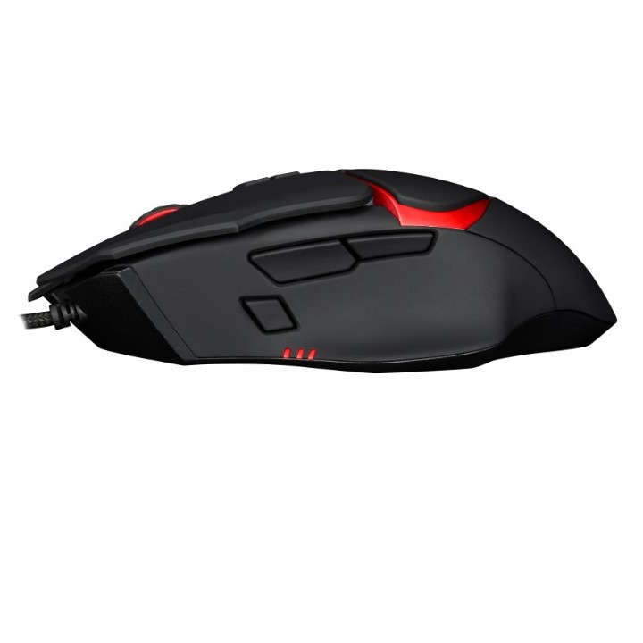 Mouse GAMMEC GP8