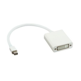 Lindy Mini DisplayPort - DVI-D, M-F 0,2 m Bianco