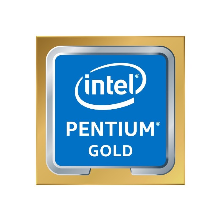 Intel Pentium Gold G6400 processore 4 GHz 4 MB Cache intelligente Scatola