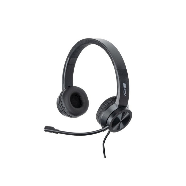 LINDY CUFFIE DA UFFICIO USB-C, CONTROLLI IN LINEA