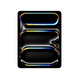 APPLE 13 INCH IPAD PRO WIFI 512GB WITH STANDARD GLASS SPACE BLACK