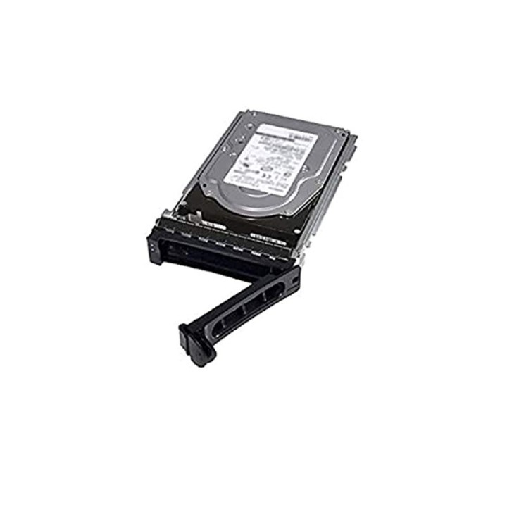 DELL TECHNOLOGIES DELL 480GB SSD M.2 SATA 6GBPS 51