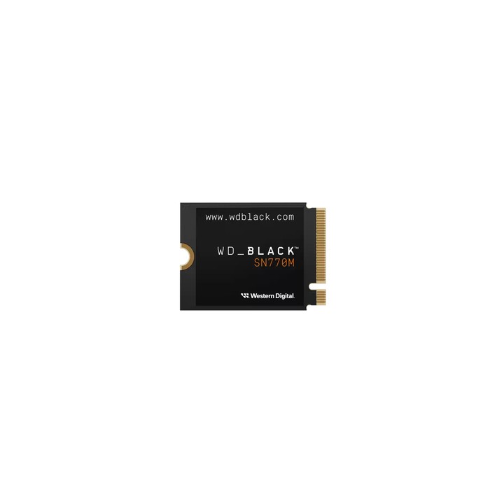 WESTERN DIGITAL SSD BLACK INTERNO SN770M M2 2230