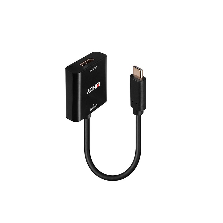 LINDY CONVERTER USB DI TIPO C A DISPLAYPORT 4K144