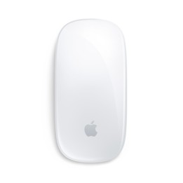 APPLE MAGIC MOUSE WHITE INT