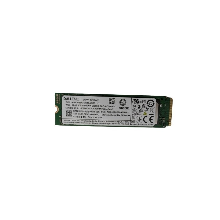 DELL TECHNOLOGIES 960GSSDR2EM.2SINGLE STICK N1