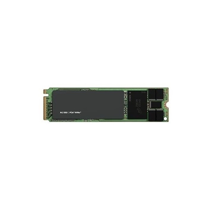 DELL TECHNOLOGIES 960GSSDR2EM.2SINGLE STICK22X80RISERCUSTOMER KIT