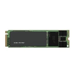 DELL TECHNOLOGIES 960G NVME READ INTENSIVE FIPS-140 M.2 2280 RISER CK