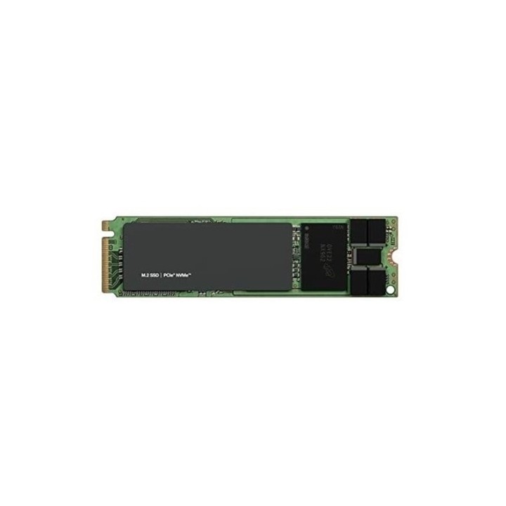 DELL TECHNOLOGIES 960G NVME READ INTENSIVE FIPS-140 M.2 2280 RISER CK