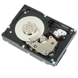 DELL TECHNOLOGIES 12TB HARD DRIVE SAS ISE 12GBPS 7.2K 512E 3.5IN CABLED CUS KIT