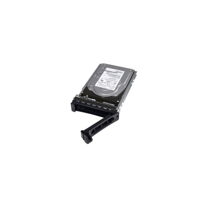 DELL TECHNOLOGIES 8TB HARD DRIVE SATA 6GBPS 7.2K 512E 3.5IN HOT-PLUG CUS KIT