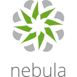 ZYXEL LICENZA NEBULA PROFESSIONAL PACK LICENSE (PER DEVICE) - 1 ANNO