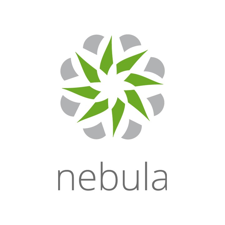 ZYXEL LICENZA NEBULA PROFESSIONAL PACK LICENSE (PER DEVICE) - 1 ANNO