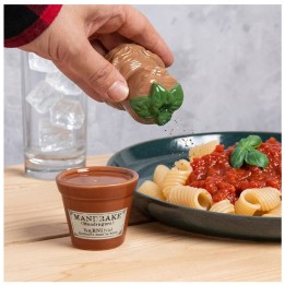 PALADONE HARRY POTTER Mandrake and Plant Pot Salt and Pepper Shakers