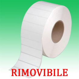 Etichette adesive rimovibile per DYMO DM-99019 S0722480 190mm*59mm 11.